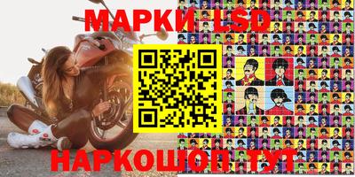 индика Ирбит