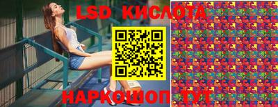 индика Ирбит