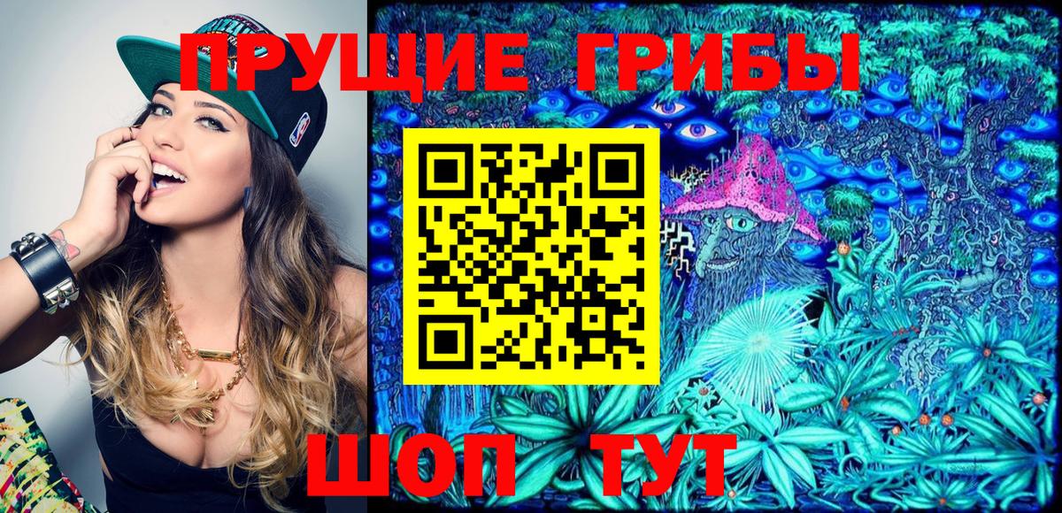 Галлюциногенные грибы Psilocybine cubensis  Псилоцибиновые грибы MAGIC MUSHROOMS  Магадан  Вход с VPN 