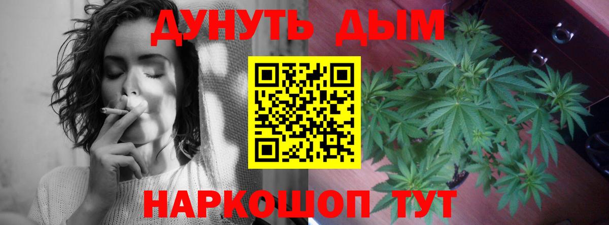 Конопля гибрид Магадан